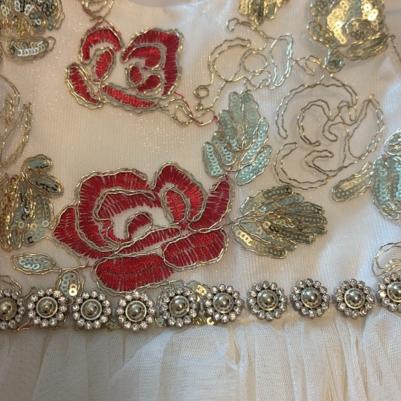 American Princess Beaded Floral Tulle Dress bling waist 3T - Picture 3 of 4